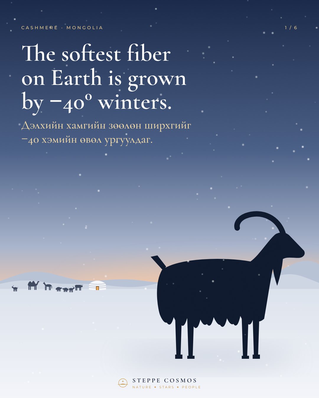 Cashmere goat silhouette on the snowy Gobi